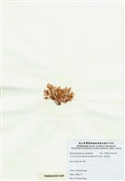 藏品(浪花藻)的圖片